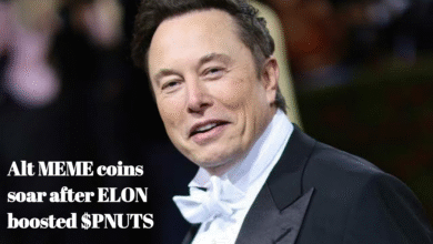 Elon Musk Influencing Crypto market Positively