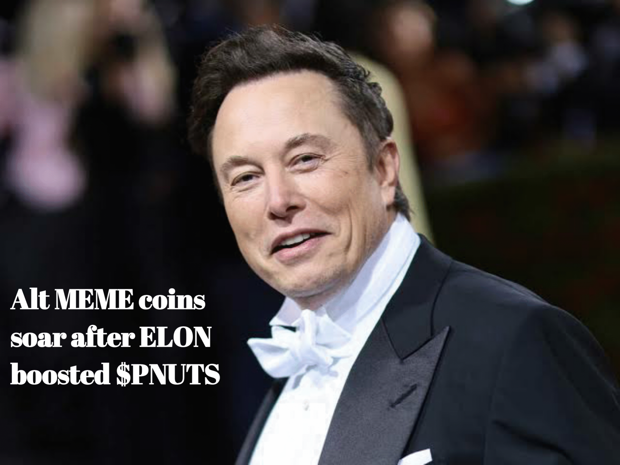 Elon Musk Influencing Crypto market Positively