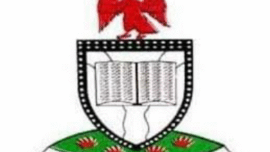 Lagos LG Poll: Immigration Explains Why Seme Border Stayed Open
