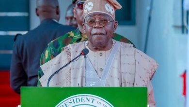 Ali Ndume speaks in Abuja, commending Tinubu’s federal agency appointments while urging South-East inclusion, July 2025