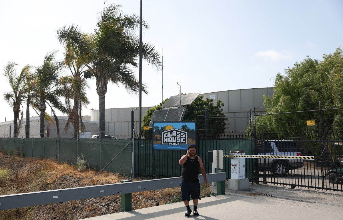 Worker Dies in US Immigration Raid on California Cannabis Farm