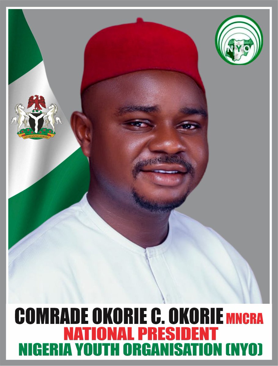 NYO Chairman Urge INEC to ensure transparency and accuracy in the 2027 elections