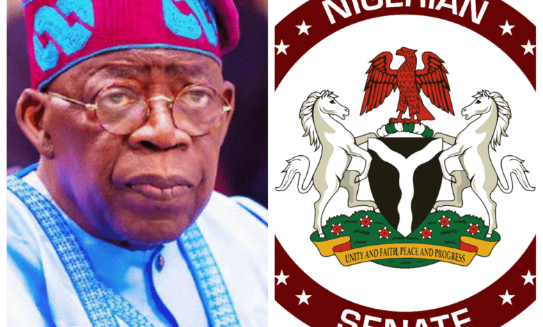 Senate approves Tinubu’s $21.5B borrowing plan and N757B pension bond for 2025–2026 to fund projects, clear arrears. Explore the details!