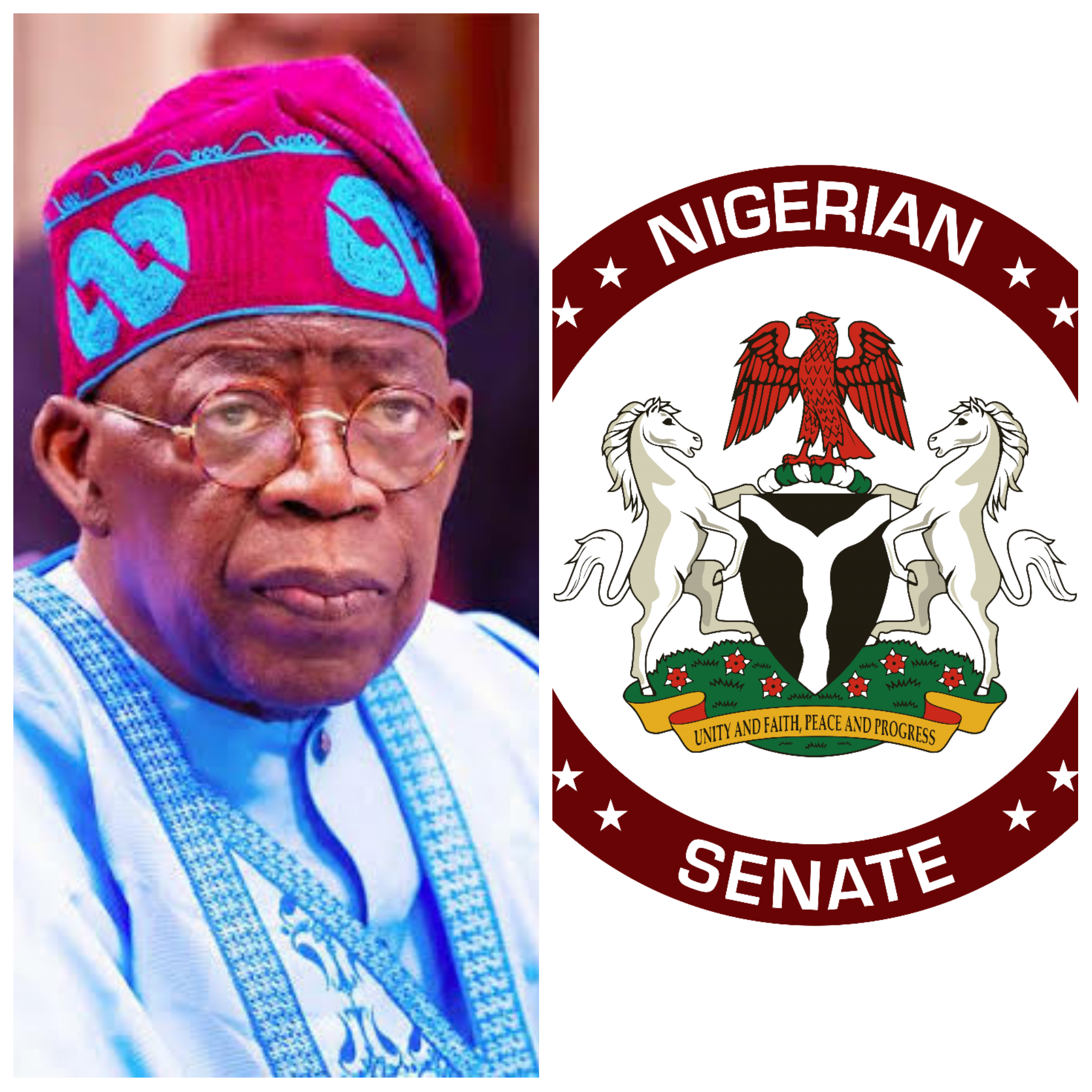 Senate approves Tinubu’s $21.5B borrowing plan and N757B pension bond for 2025–2026 to fund projects, clear arrears. Explore the details!