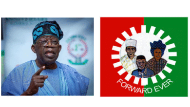 Labour Party members argue over accusation of planning to remove President Tinubu