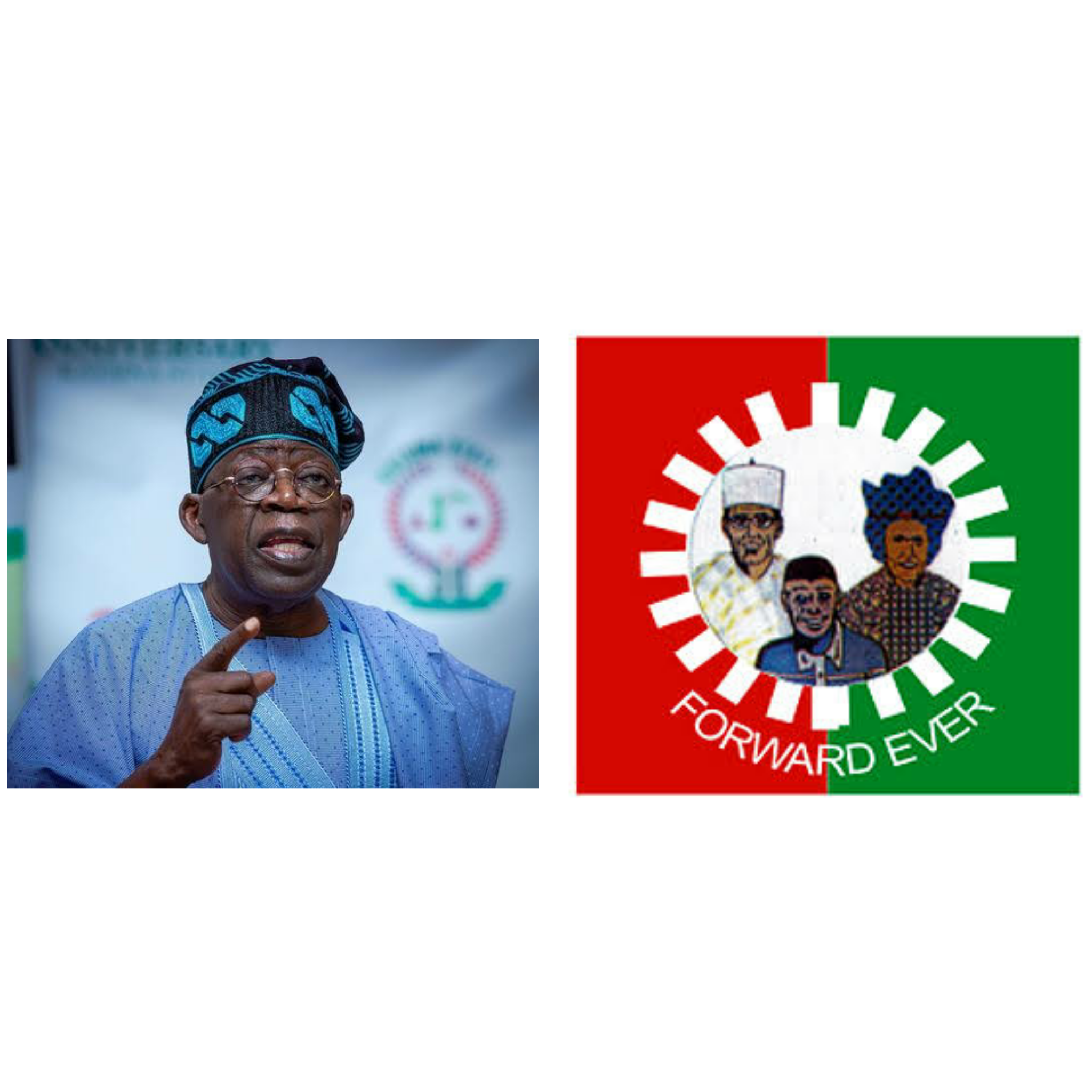 Labour Party members argue over accusation of planning to remove President Tinubu