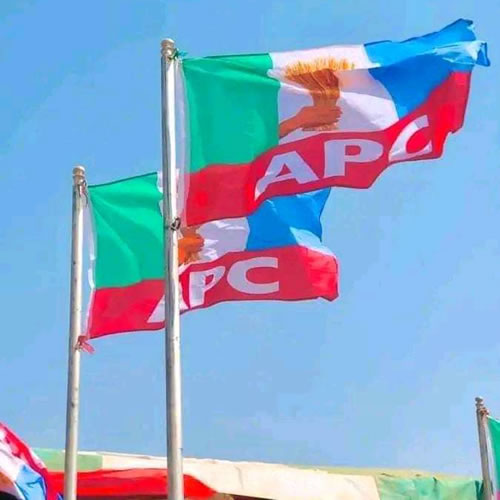 North-Central APC Demands Chairmanship Return Ahead of June 2025 NEC Meeting