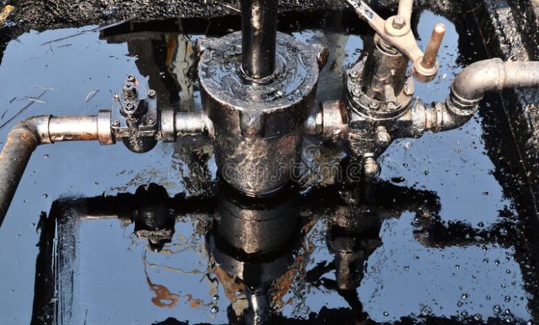 Oil barrels at a Nigerian port for US export, reflecting a $1.34B trade value in 2025, amid a 12.7% volume drop