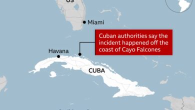 Cuban security forces intercept speedboat near northern coast