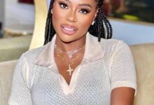 Legal dispute over child custody takes a new turn as allegations are raised against the singer